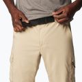 Чоловічі трекінгові штани Columbia Silver Ridge Utility ancient fossil 4