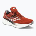 Кросівки для бігу чоловічі Saucony Triumph 20 червоні S20759-25