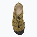 Сандалі трекінгові чоловічі KEEN Newport martini olive/brindle 6