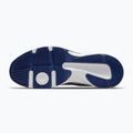 Кросівки для тренувань чоловічі Nike Defy All Day white/metallic silver/midnight navy 6