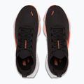 Кросівки для бігу чоловічі Brooks Glycerin Flex bluewash/morel/beige 5