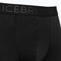 Термобоксери чоловічі icebreaker Anatomica Cool-Lite black 3