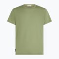Футболка чоловіча Icebreaker Merino Core Tee lichen 6