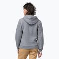 Кофта Patagonia Fitz Roy Icon Uprisal Hoody gravel heather 6