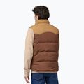 Жилетка чоловіча Patagonia Reversible Bivy Down moose brown 2