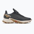 Кросівки для бігу чоловічі Salomon Alphacross 4 ebony/rainy day/phantm 2