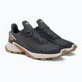 Кросівки для бігу чоловічі Salomon Alphacross 4 ebony/rainy day/phantm 4