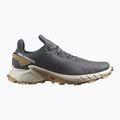 Кросівки для бігу чоловічі Salomon Alphacross 4 ebony/rainy day/phantm 11