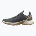 Кросівки для бігу чоловічі Salomon Alphacross 4 ebony/rainy day/phantm 12