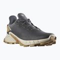 Кросівки для бігу чоловічі Salomon Alphacross 4 ebony/rainy day/phantm 13
