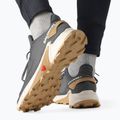 Кросівки для бігу чоловічі Salomon Alphacross 4 ebony/rainy day/phantm 18