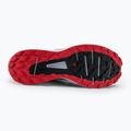 Кросівки для бігу чоловічі Salomon Sense Ride 4 чорні L41726600 6