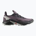 Кросівки для бігу жіночі Salomon Alphacross 4 moonscape/black/lunr 10