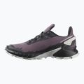 Кросівки для бігу жіночі Salomon Alphacross 4 moonscape/black/lunr 11