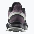 Кросівки для бігу жіночі Salomon Alphacross 4 moonscape/black/lunr 13