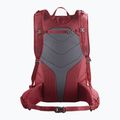 Рюкзак туристичний Salomon Trailblazer 30 l Aura Orange/Biking Red LC2059900 2