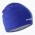 Шапка Salomon Beanie surf the web