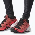 Кросівки для бігу чоловічі Salomon Spikecross 6 GTX cow hide/black/neon flame 13
