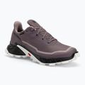 Кросівки для бігу жіночі Salomon Alphacross 5 GTX moonscape/black/white