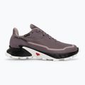 Кросівки для бігу жіночі Salomon Alphacross 5 GTX moonscape/black/white 2