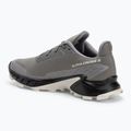Кросівки для бігу чоловічі Salomon Alphacross 5 pewter/black/ghost 3