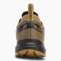 Чоловічі кросівки Salomon Wander GTX anthro/center/athmos 6