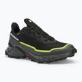 Кросівки для бігу чоловічі Salomon Alphacross 5 GTX black/peat/sulphur spring