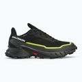 Кросівки для бігу чоловічі Salomon Alphacross 5 GTX black/peat/sulphur spring 2