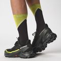 Кросівки для бігу чоловічі Salomon Alphacross 5 GTX black/peat/sulphur spring 12