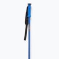 Палиці гірськолижні Salomon Polar Pro race blue 2