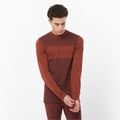 Чоловічий термолонгслив Salomon Essential Wool ром з родзинками