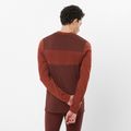 Чоловічий термолонгслив Salomon Essential Wool ром з родзинками 2