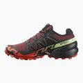 Чоловічі кросівки Salomon Speedcross 6 ромові родзинки/черрі/коньяк 10