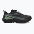 Кросівки для бігу чоловічі Salomon Genesis GTX black/agave green/urban chic 2