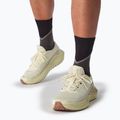 Кросівки для бігу чоловічі Salomon Thundercross asphalt/sharkskin/spray 11