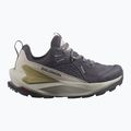 Жіночі туристичні черевики Salomon Elixir GTX 9 дев'ять залізо/срібна хмара/губка 9