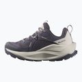 Жіночі туристичні черевики Salomon Elixir GTX 9 дев'ять залізо/срібна хмара/губка 10