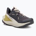 Жіночі туристичні черевики Salomon Elixir GTX 9 дев'ять залізо/срібна хмара/губка