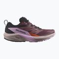 Кросівки для бігу жіночі Salomon Sense Ride 5 GTX catawba grape/orchid bouquet/cherry tomato 8