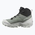 Черевики трекінгові жіночі Salomon Crosstrak WP agave green/black/can ary green 10