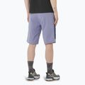 Шорти трекінгові чоловічі Salomon Outerpath Utility blue granite / blue nights 2