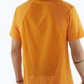 Футболка чоловіча Salomon Outline Tee turmeric 3