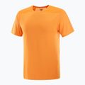 Футболка чоловіча Salomon Outline Tee turmeric 4