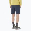 Шорти чоловічі Salomon Wayfarer Ease blue nights 2