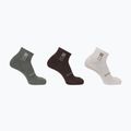 Шкарпетки Salomon Everyday Ankle 3 пари срібляста хмара/шавлія седона