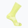Шкарпетки Salomon 365 Crew dark citron