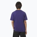 Футболка чоловіча Salomon Logo RX Tee astral 2