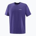 Футболка чоловіча Salomon Logo RX Tee astral 4