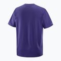 Футболка чоловіча Salomon Logo RX Tee astral 5