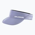 Козирок Salomon SHAKEout granite